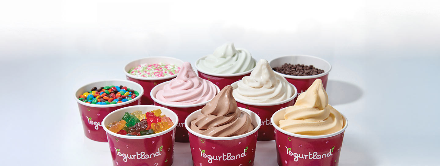 Yogurtland Fundraiser